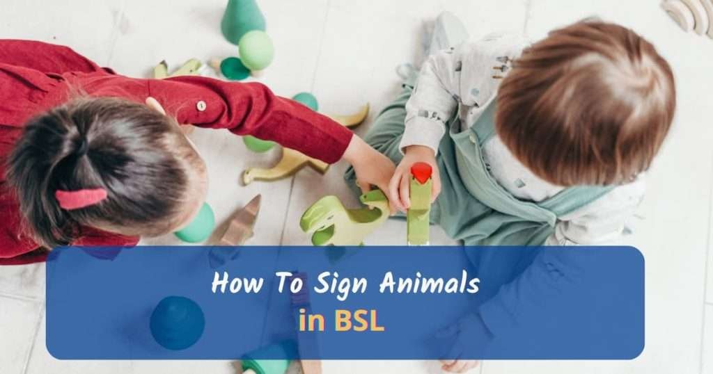how to sign animals in bsl