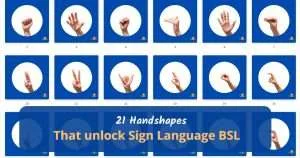21 bsl handshapes